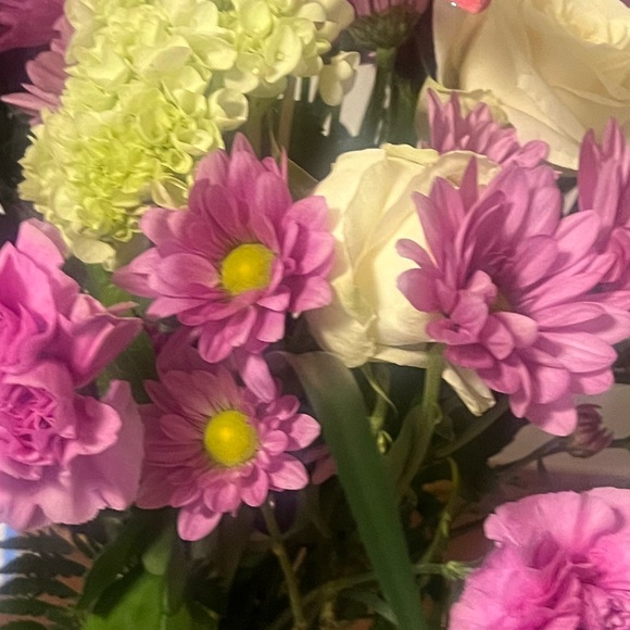 Meet your Posher, Regina - Picture 1 of 1